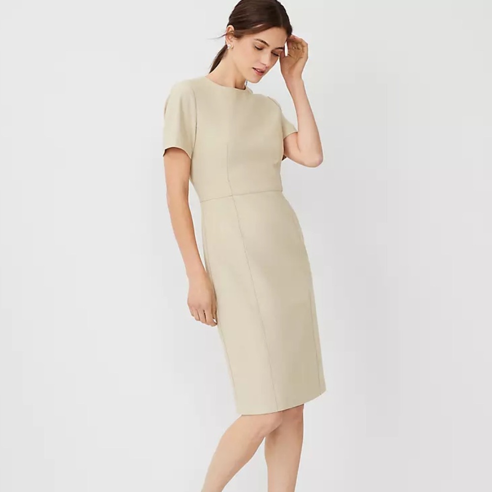 Ann Taylor Cream Short Sleeve Sheath Dress